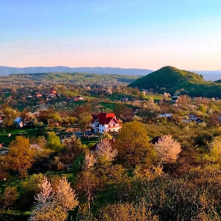 Casa Comilor Bed and Breakfast Surdesti  Esterno foto