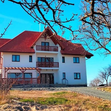 Casa Comilor Bed and Breakfast Surdesti  Esterno foto