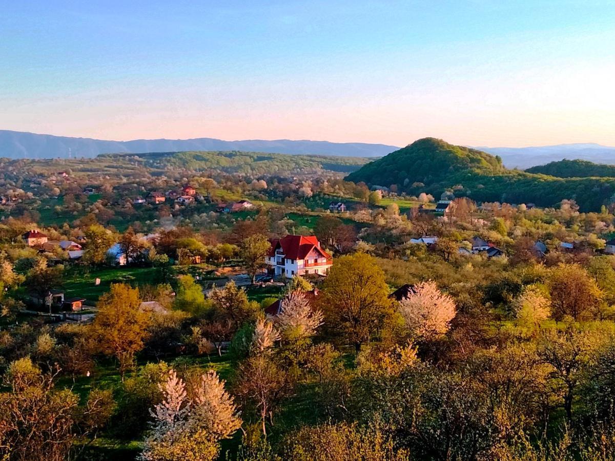 Casa Comilor Bed and Breakfast Surdesti  Esterno foto