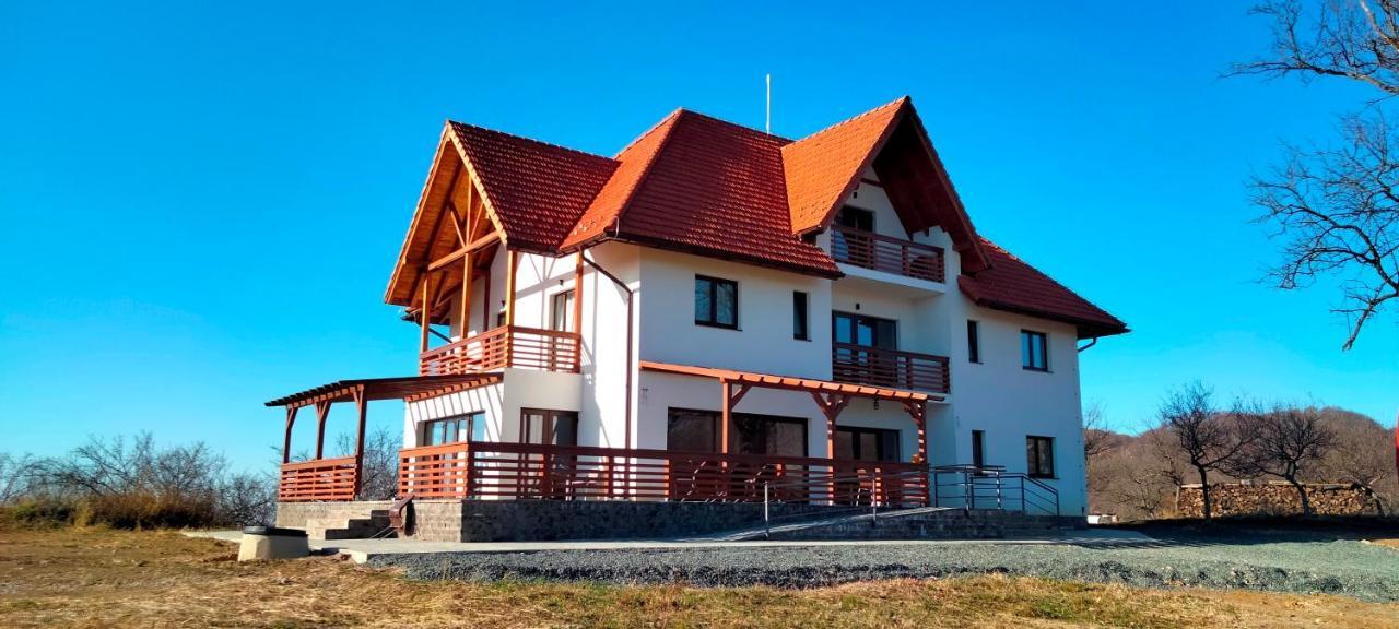 Casa Comilor Bed and Breakfast Surdesti  Esterno foto