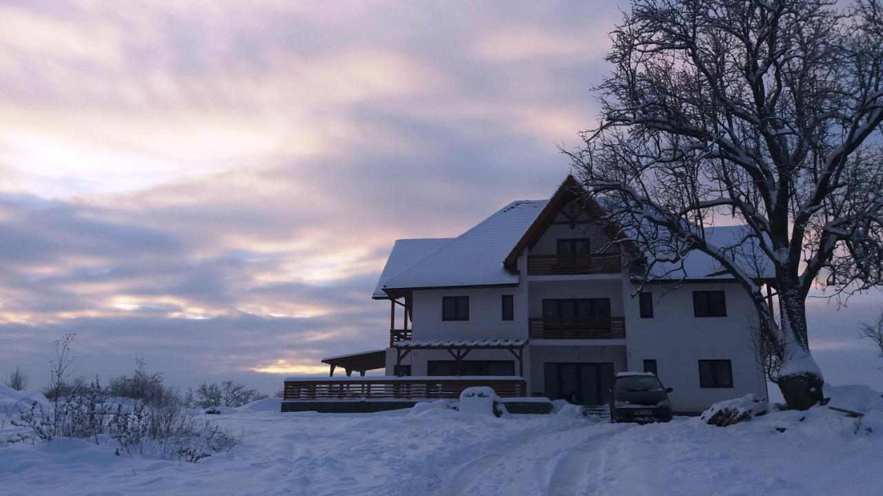 Casa Comilor Bed and Breakfast Surdesti  Esterno foto