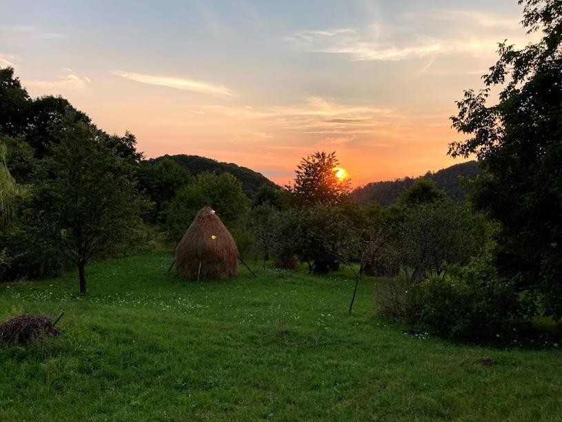 Casa Comilor Bed and Breakfast Surdesti  Esterno foto